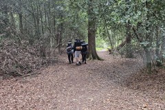 20250927_134612 20250927_134612