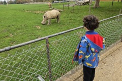 20251018_111838 20251018_111838