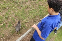 20251018_134647 20251018_134647