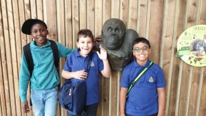 Trip to Colchester Zoo