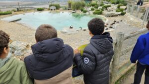 Trip to Whipsnade Zoo